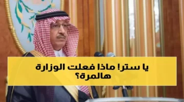 35% إجازات.. وزارة التعليم السعودية تحدد عدد أيام عطلات الطلاب بالعام الجديد